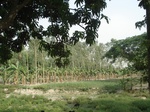 21882DSC08476.JPG