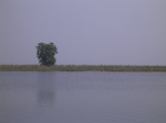 625R0015133.jpg