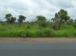 20948P1020815.JPG