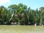 54694Bulungan (189).JPG