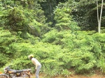 49051CIMG5388.JPG