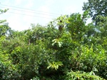 17505100_2760.JPG