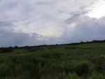 24855DSC01033.JPG