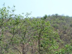 1789227042008(27).JPG
