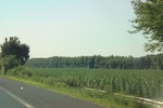 2024-08-05_14-25-26_C1AF2968-CDCB-47EE-8DB2-122297EF046B.jpeg