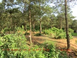 38858CIMG4289.gps.jpg