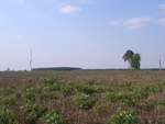 28085RIMG0140.JPG