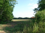 32560p211.jpg