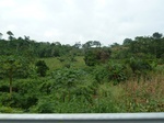 25951P1020370.JPG