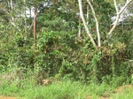 51079CIMG4797.JPG