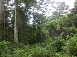 47646CIMG3983.JPG