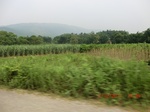 33033CIMG2225.JPG