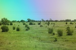 2024-06-17_21-33-14_08267BF2-313A-41ED-B9B6-8624A027FE95.jpeg