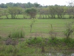 34575RIMG0041.JPG