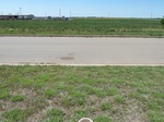 29250CHER20110512S.JPG