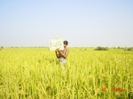 11366gt149-cropland-1.jpg