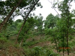 53311CIMG6589.JPG