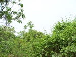 501020042008(28).JPG