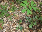 50258DSC02060.JPG