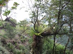 13490IMG_3876.JPG