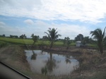 26698IMG_3331.JPG