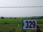 131870329a-irrigated-canal-rice.gif