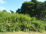 54606Bulungan (101).JPG