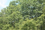 2024-08-05_13-55-12_5652D5BB-D624-4632-85A1-F63FBD60DE31.jpeg