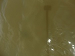 58576CIMG3026.JPG
