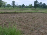 34567RIMG0033.JPG