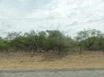 35314DSC02825.JPG