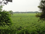 24647DSC00868.JPG