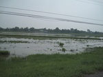 34489IMG_5472.JPG