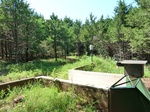21627P1010453.JPG