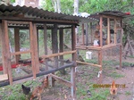 31839IMG_5319.JPG