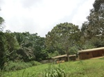 47955CIMG4292.JPG
