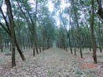 52621CIMG4004_调整大小.JPG