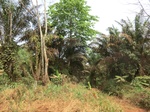 49206CIMG5543.JPG