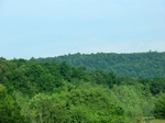 57175CIMG2675.JPG