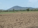 26276P1030053.JPG