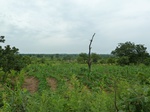 18360P1000196.JPG