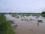 21398RIMG0124.JPG