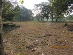 31815IMG_5395.JPG