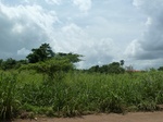 18251P1000087.JPG