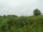 20654P1020511.JPG