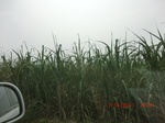 33076CIMG2311.JPG
