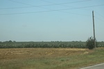 2024-06-17_21-20-49_508CD566-06BE-430A-A3BB-53EF3A6D3652.jpeg