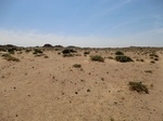 36718CIMG0487.JPG