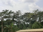 49512CIMG5849.JPG