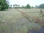 34556RIMG0021.JPG